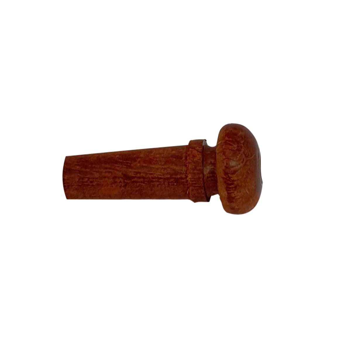 Endpin de Jujube2