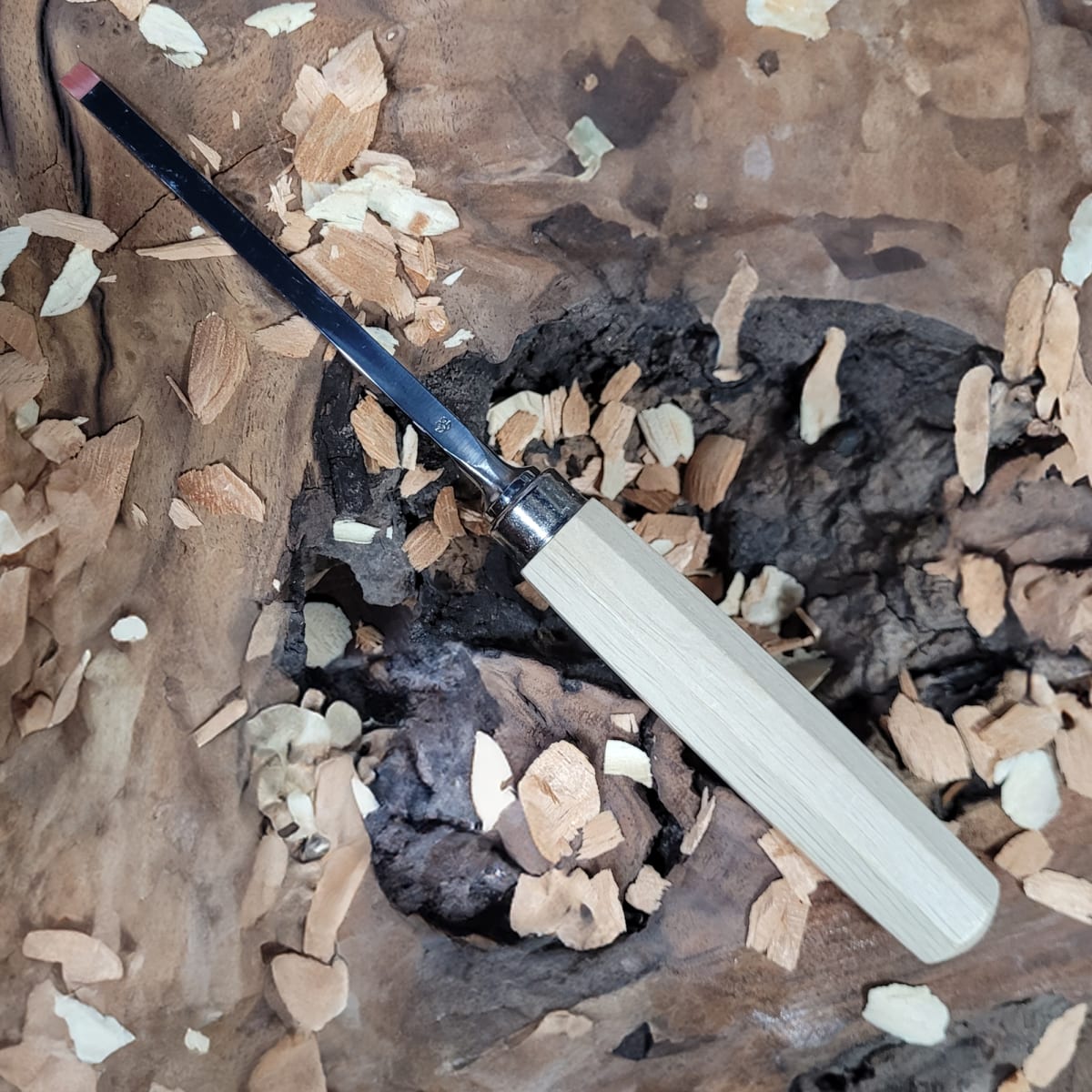 Set 3157 LRT de 12 Gubias 4 Mini Piedras de Arkansas y 1 Estuche de Cuero Two Cherries para Tallado21