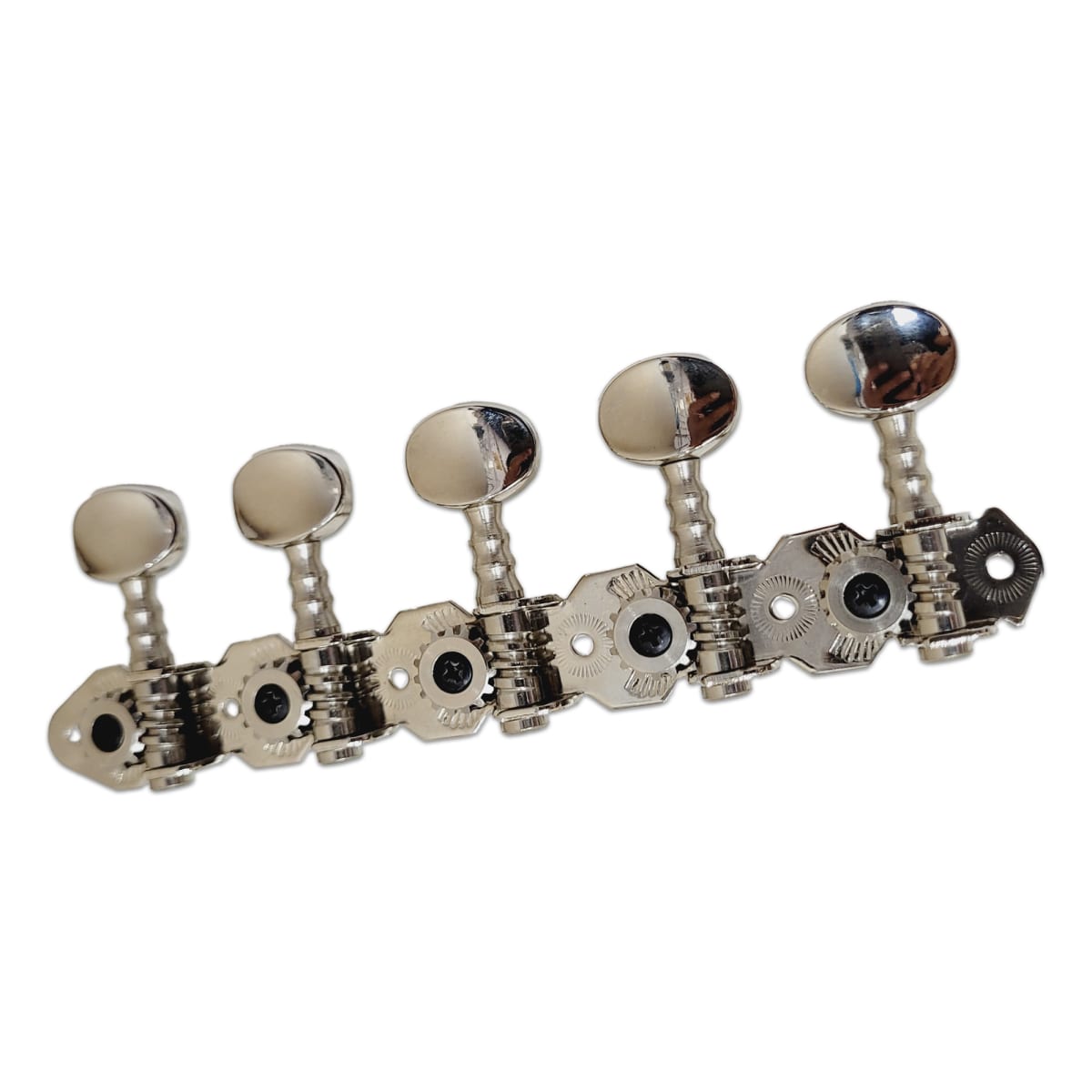 Clavijeros de precisión para Charango y Mandolina Holand.Mod 42.08.E Nickel B/Metal (5+5)3