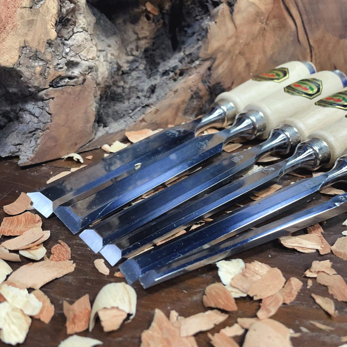 Set de 6 Formones Carpinteros Two Cherries 1111 SB5