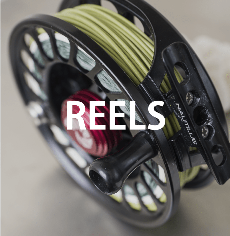 REELS