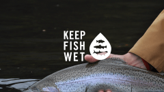 PESCA SOSTENIBLE EN EL TIEMPO: KEEP EM' WET