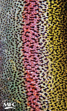 BANDANA FISH GAITER RAINBOW TROUT SKIN1