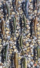 BANDANA FISH GAITER UDESEN'S TROUT DREAMS