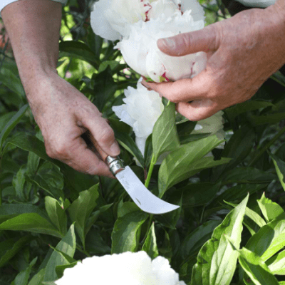 KIT TRI PACK WOOD BOX