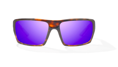 LENTES NATO BROWN TORT GLOSS P