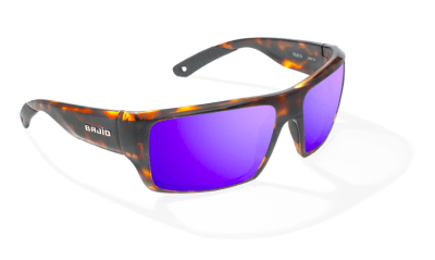 LENTES NATO BROWN TORT GLOSS P