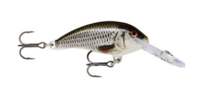 SEÑUELO SHAD DANCER 7 CM1