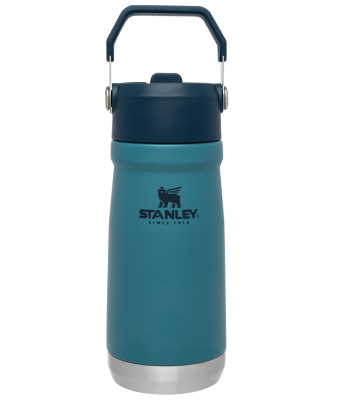 TERMO 17OZ CLASSIC FLIP STRAW WTR BTL