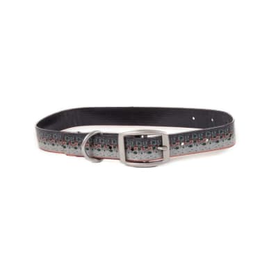 COLLAR PERRO SALTY DOG - MEDIUM