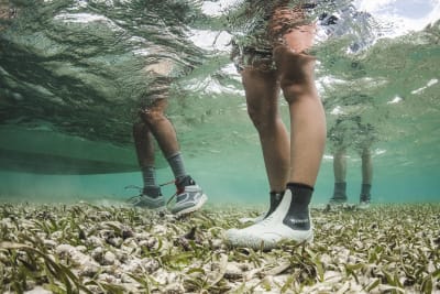 BOTAS ZIPIT BOOTIE II LIGHT GREY