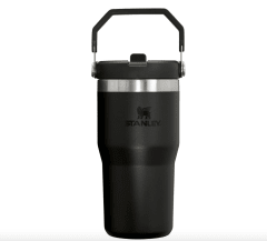 BOTELLA 20OZ CLASSIC FLIP STRAW