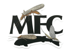 DIE CUT LOGO STICKER INSECT LOGO TRIFECTA 5 IN