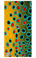 BANDANA FISH GAITER MADDOX'S BROWN TROUT XI SKIN