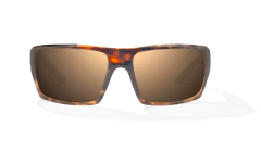 LENTES NATO BROWN TORT GLOSS G