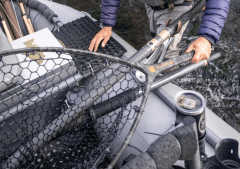 CHINGUILLO NOMAD MID-LENGTH BOAT NET