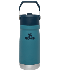 TERMO 17OZ CLASSIC FLIP STRAW WTR BTL