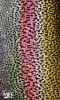 BANDANA FISH GAITER RAINBOW TROUT SKIN1