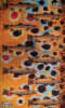BANDANA FISH GAITER CURRIER'S BROWN TROUT1