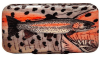 CAJA POLY FLY BOX CURRIER'S RAINBOW TROUT1