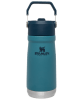 TERMO 17OZ CLASSIC FLIP STRAW WTR BTL5