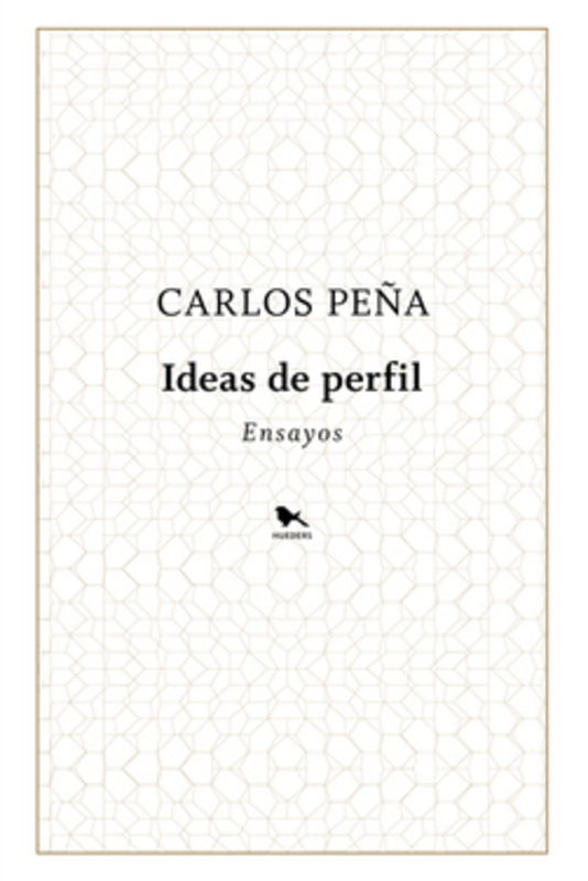 IDEAS DE PERFIL