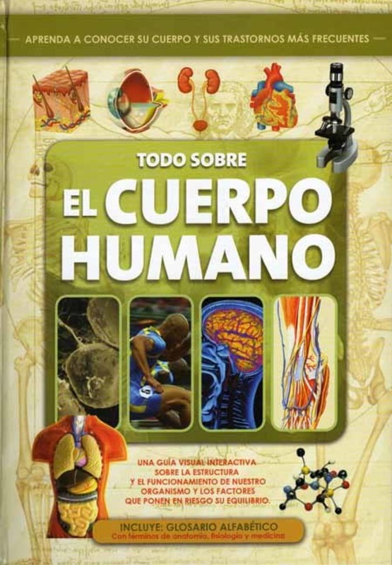 TODO SOBRE EL CUERPO HUMANO