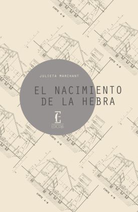 EL NACIMIENTO DE LA HEBRA