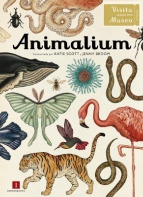 ANIMALIUM1 ANIMALIUM1