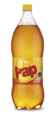PAP 2 LTS NORMAL1