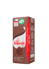 LECHE CHOCOLATE CAJITA