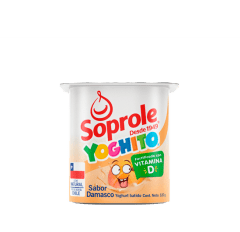 YOGUR SOPROLE DAMASCO 120 GRAMOS