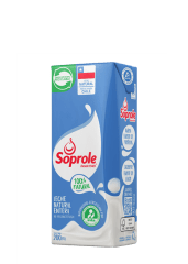 LECHE ENTERA 200ML SOPROLE