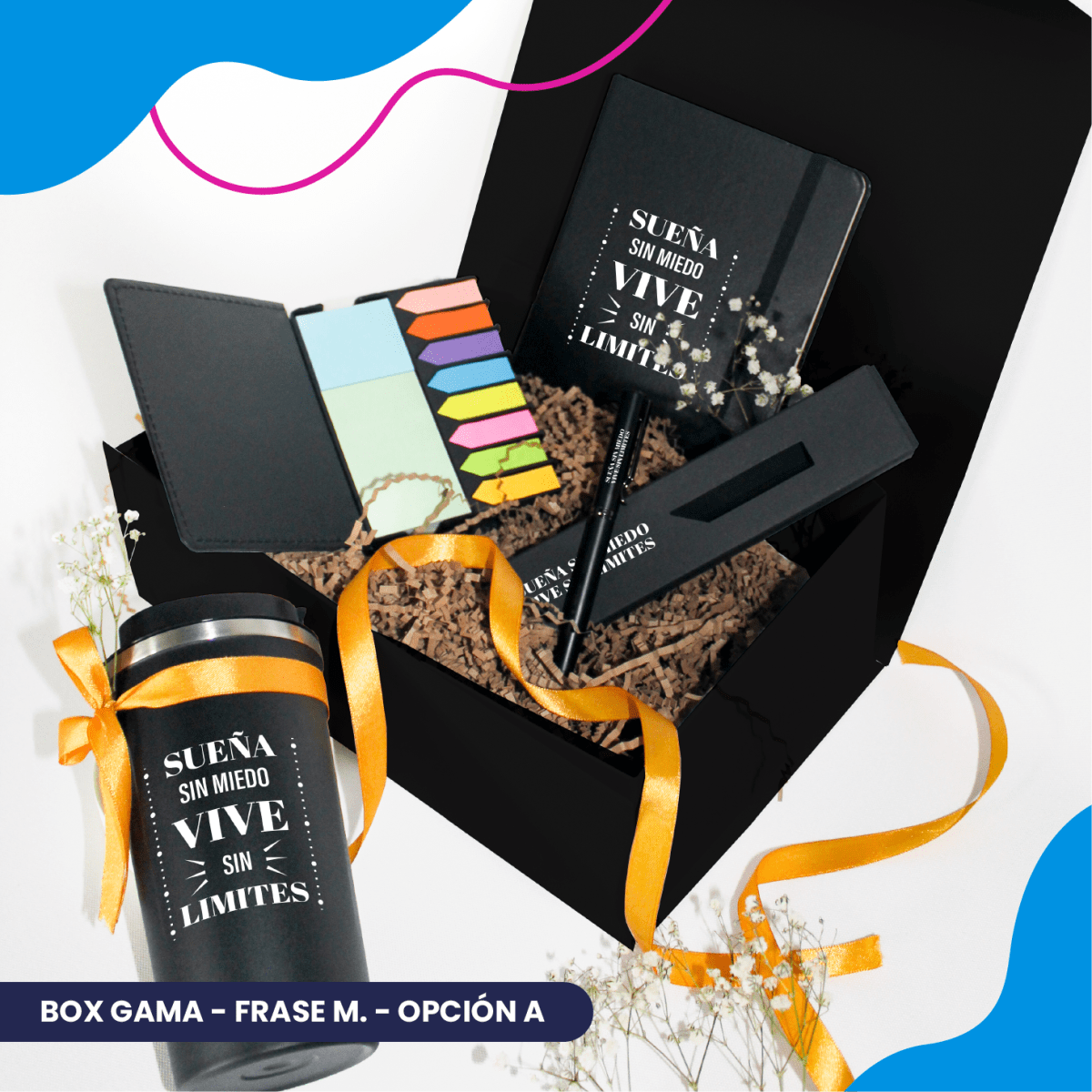 Box Gama13