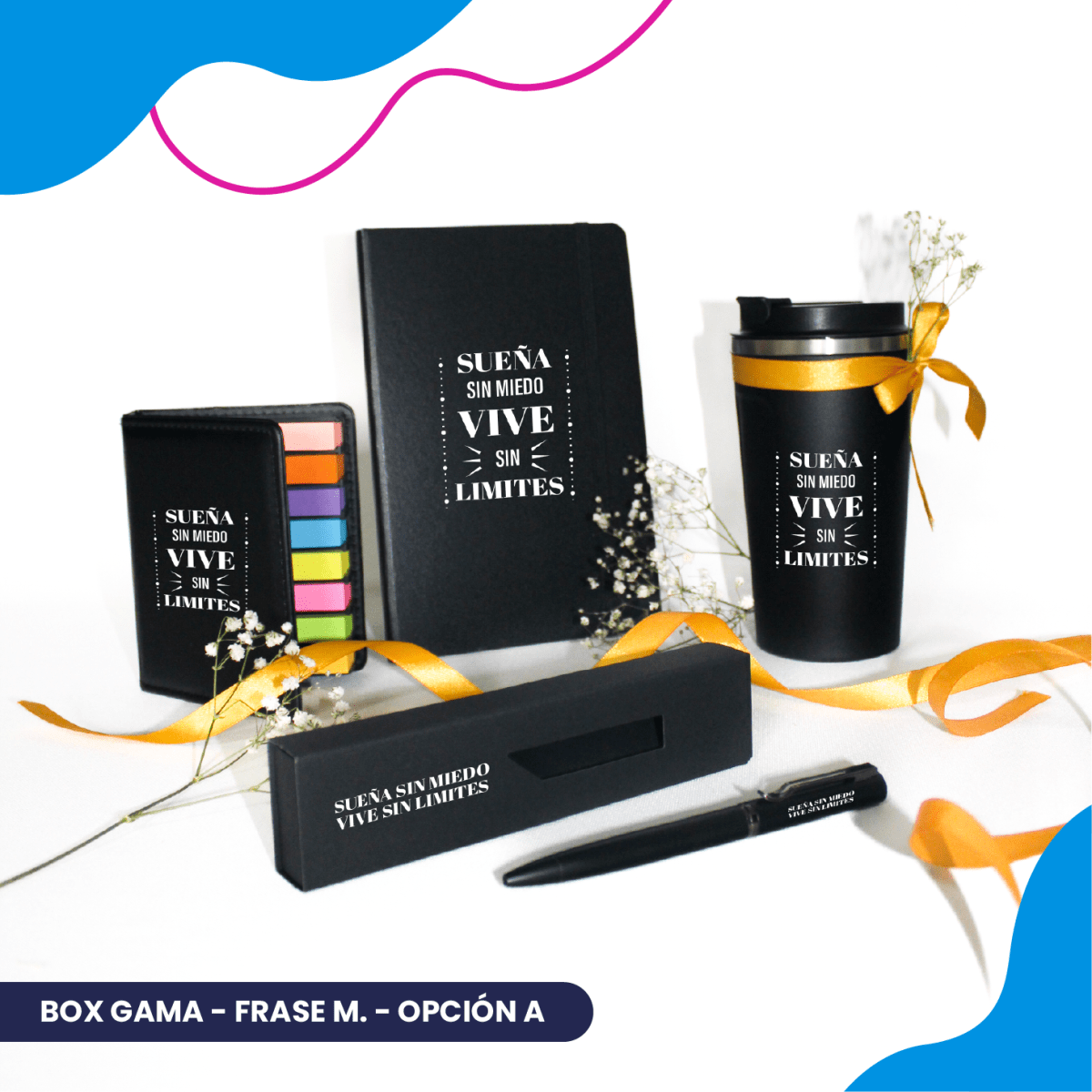 Box Gama14