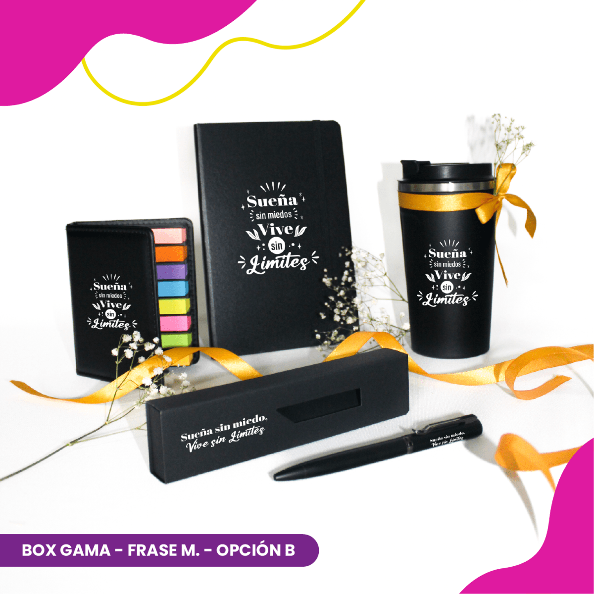 Box Gama16