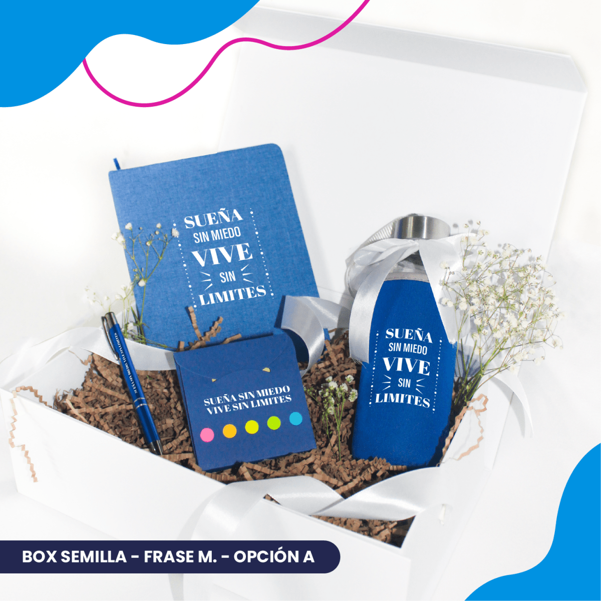 Box Semilla17