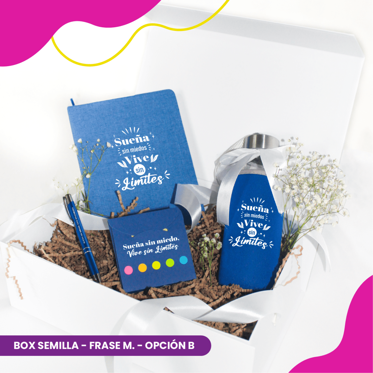 Box Semilla19
