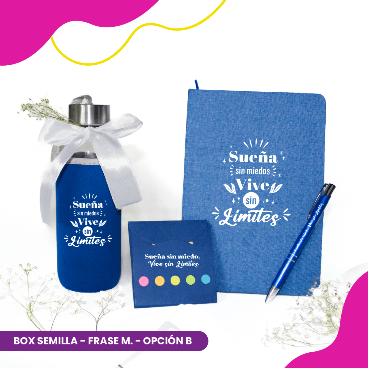 Box Semilla20