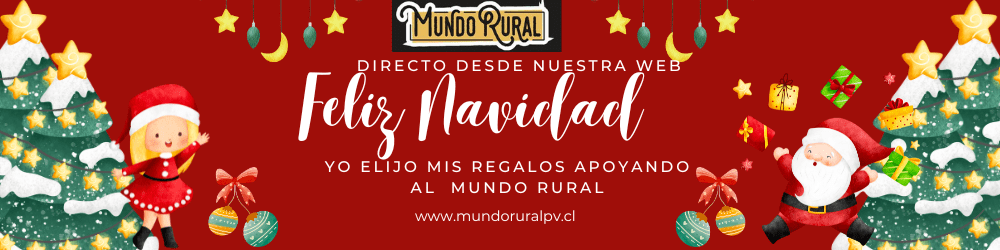 Regalos directo desde la Agricultura Familiar Campesina de Chile 