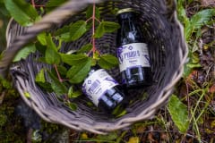 Nectar de Maqui 250 ml