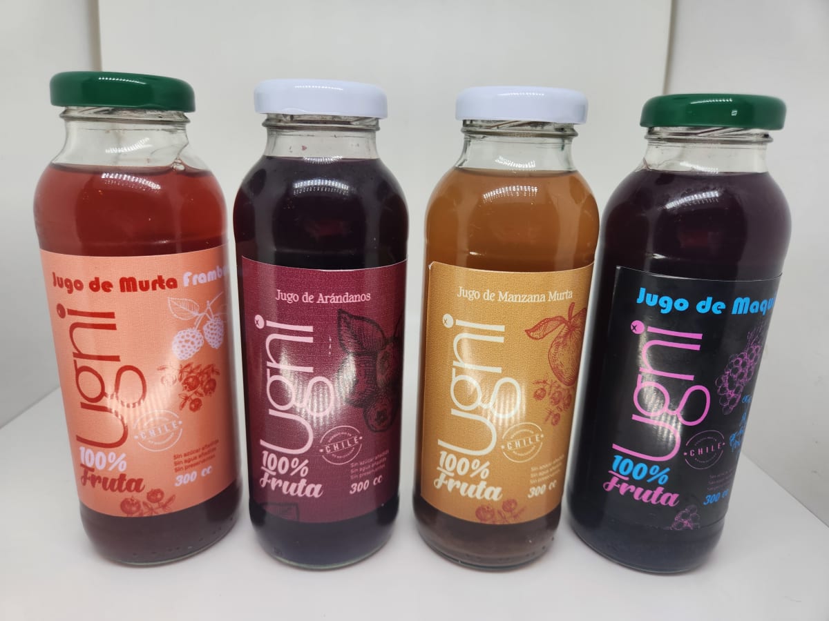 Jugo Ugni Manzana Murta100% natural 300 ml2