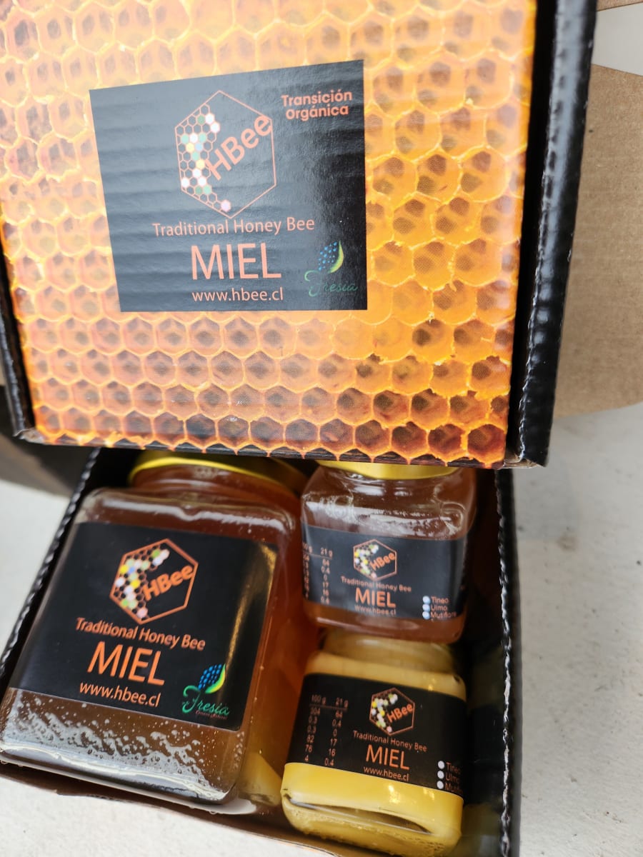 Miel de Ulmo Hbee 400 grs Orgánica2