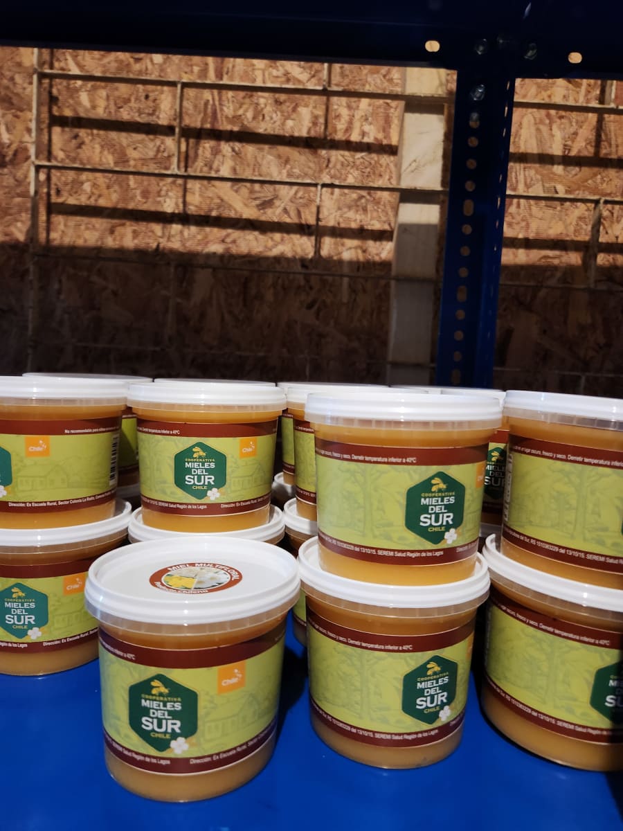 Miel de Ulmo 1/2 kilo pote1