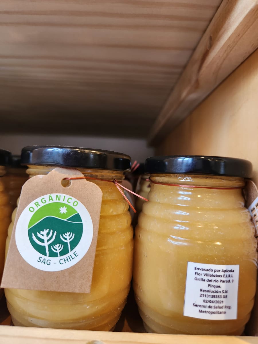 Miel Colmena Orgánica 240 grs Rayen de M1