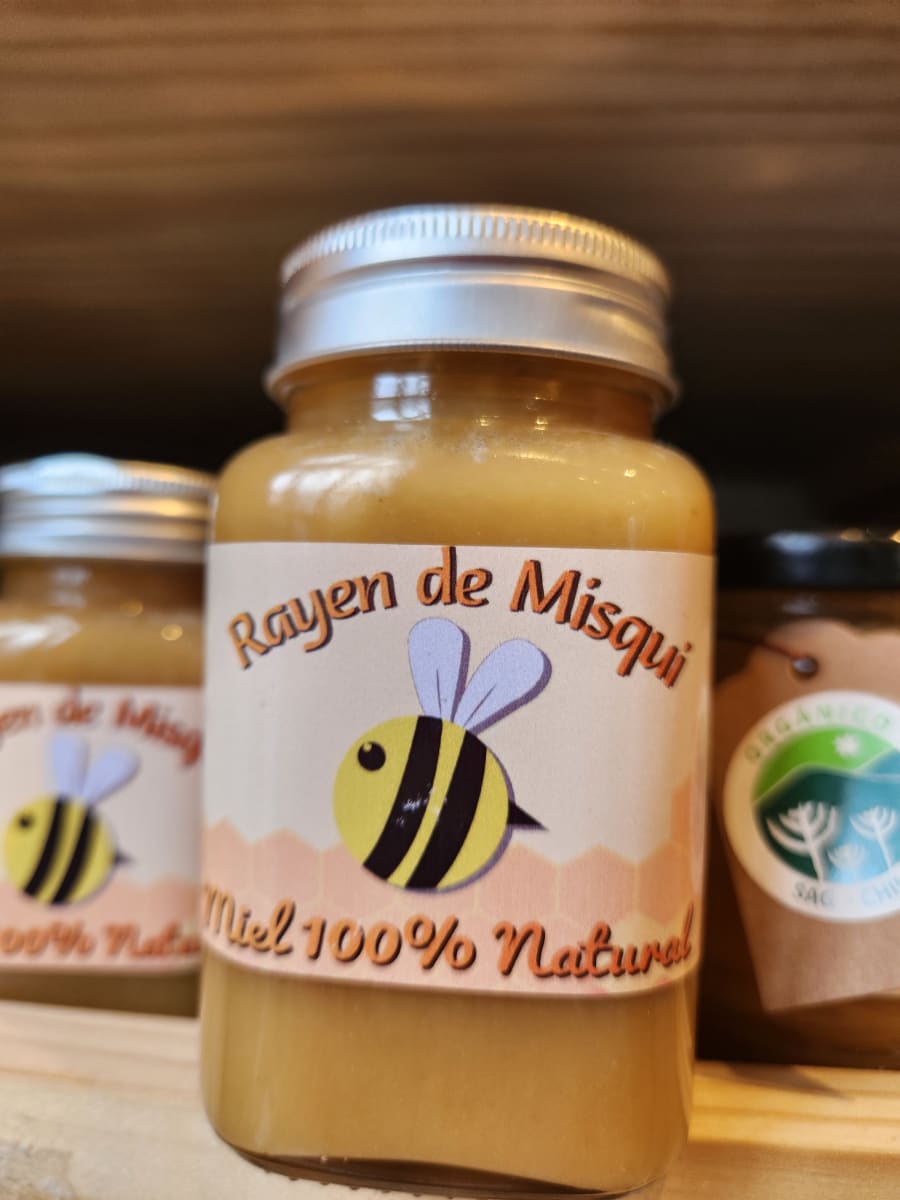 Miel rectangular Rayen de Misqui 300 gr2