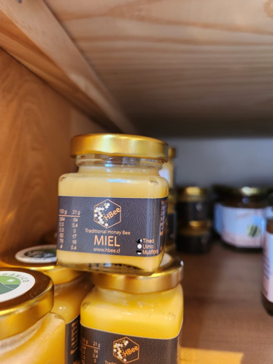 Miel de Ulmo Hbee 80 grs Orgánica1