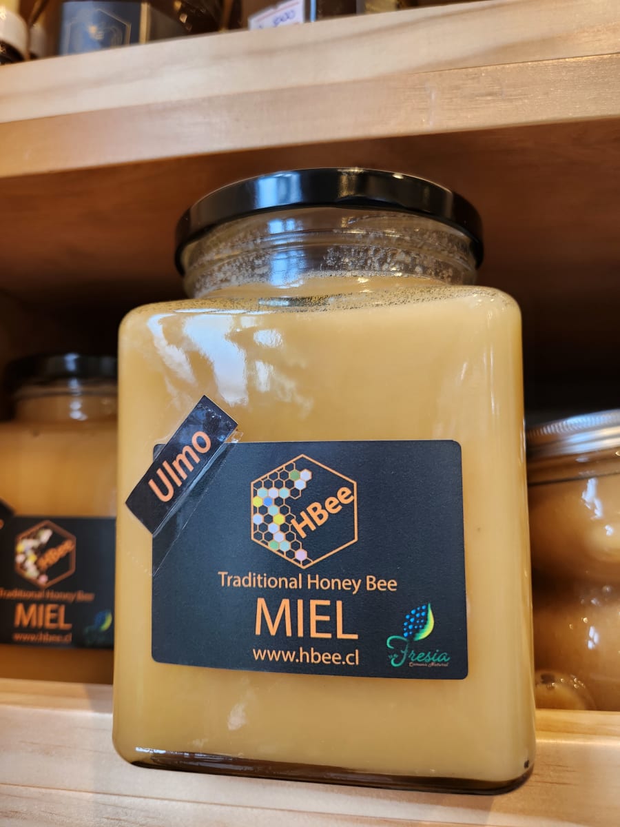 Miel de Ulmo Hbee 1 kilo Orgánica1