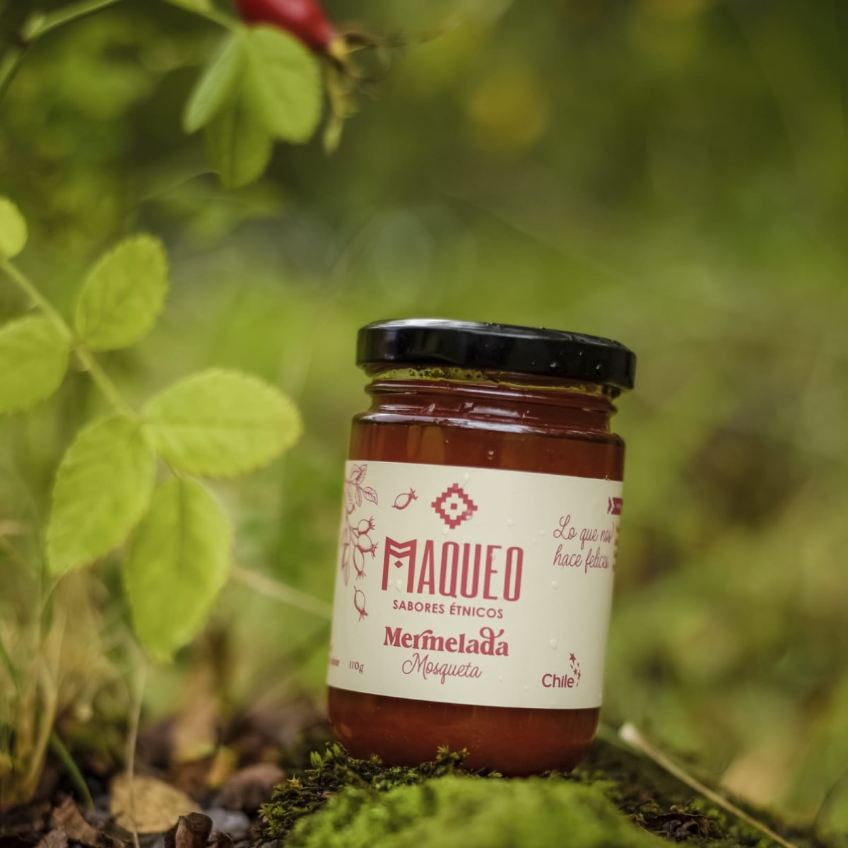 Mermelada de Mosqueta 170 grs endulzada c/azúcar1