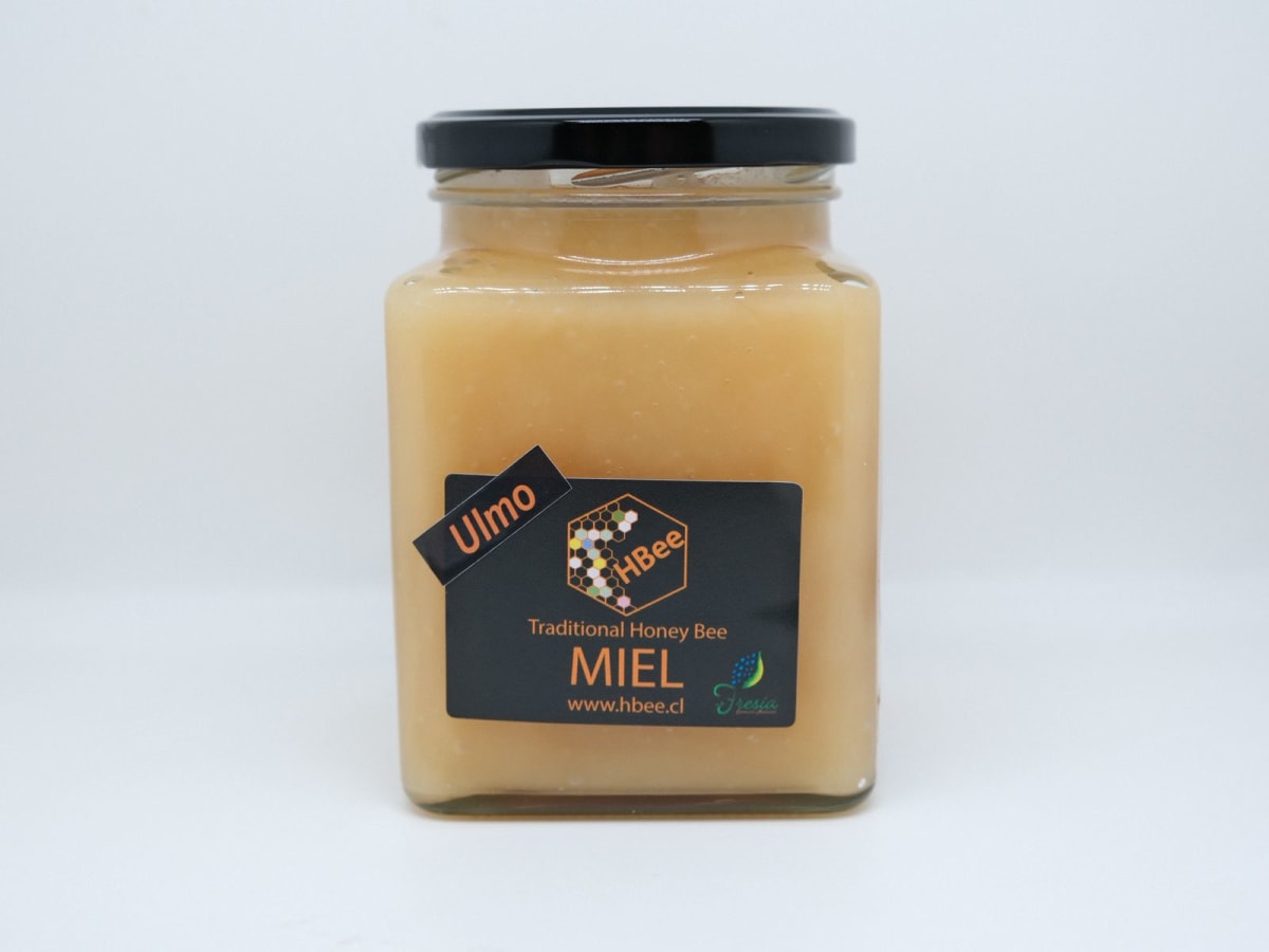 Miel de Ulmo Hbee 1 kilo Orgánica2